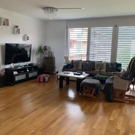 Rheinfelden Homestay エクステリア 写真