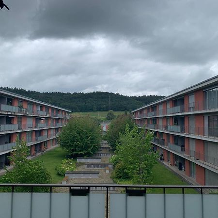 Rheinfelden Homestay エクステリア 写真