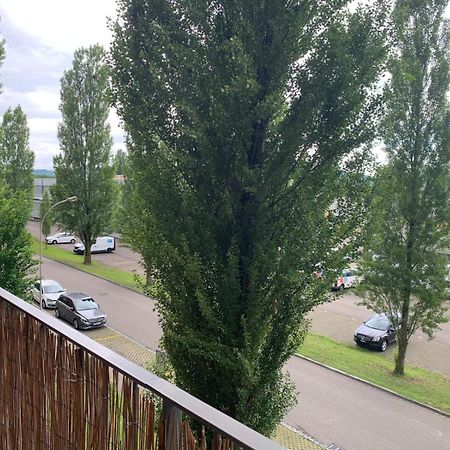 Rheinfelden Homestay エクステリア 写真