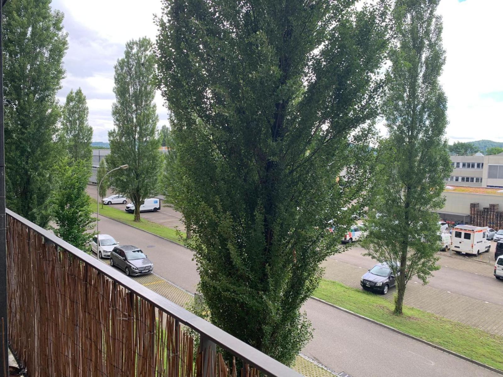 Rheinfelden Homestay エクステリア 写真